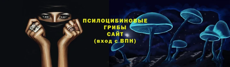 кракен вход  Норильск  Галлюциногенные грибы ЛСД 